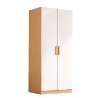 圣承启 挂衣柜 两门台