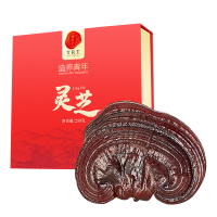 北京同仁堂造养青年灵芝250g自然色泽肉质厚实U1000181