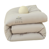 伊洛源 灰色冬被