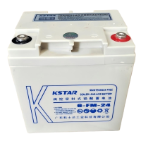 科士达UPS蓄电池6-FM-24(12V24AH )阀控式免维护铅酸电池