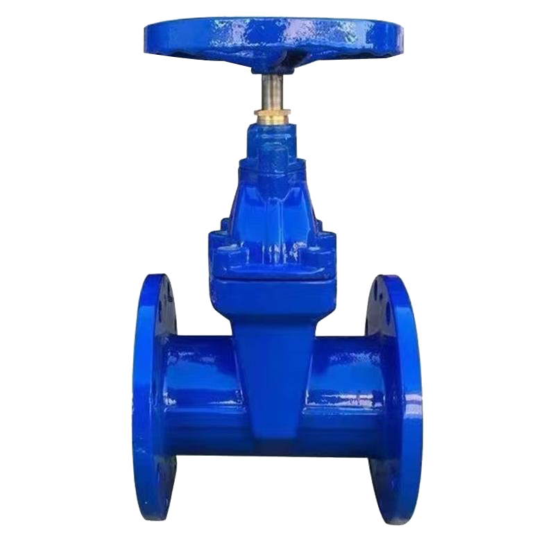 伟鹏双兴 法兰软密封暗杆闸阀 DN50 台