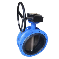 伟鹏双兴 手动铸铁涡轮法兰式蝶阀 DN700 台