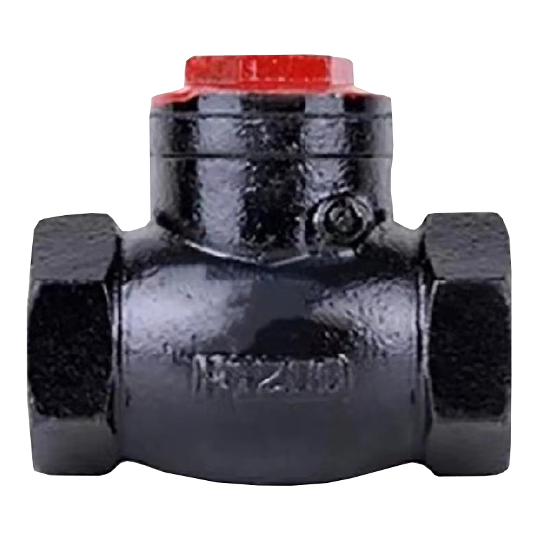 伟鹏双兴 铸铁丝扣卧式止回阀 DN20(6分) 个