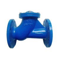 伟鹏双兴 铸铁法兰式球型止回阀 DN200 台
