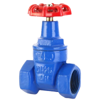 伟鹏双兴 蓝色丝扣软密封闸阀 DN32 台