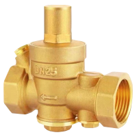 伟鹏双兴 黄铜活塞过滤式减压阀 DN20(6分) 台