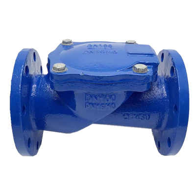 伟鹏双兴 软密封橡胶瓣止回阀 DN50 台