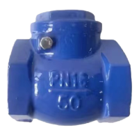 伟鹏双兴 蓝色铸铁丝扣止回阀 DN25 台
