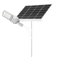 顶火 GMD9416 额定电压AC48V 功率100W IP66 太阳能路灯(计价单位:台)银色