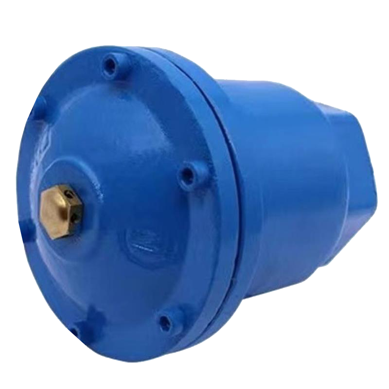 伟鹏双兴 蓝色铸铁丝扣排气阀 DN20 台