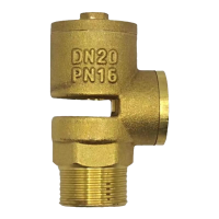 伟鹏双兴 黄铜真空破坏器 DN15(4分) 台