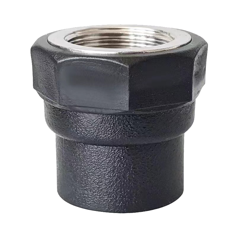 伟鹏双兴 PE内丝直接热熔接头 PE32螺纹3/4(6分) 个