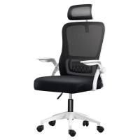 复岚 办公椅 电脑椅/把