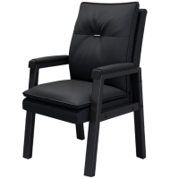 班龙靠背椅子黑色把