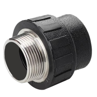 伟鹏双兴 PE外丝直接 PE63螺纹2寸 个