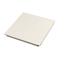 兴酉 铝扣板 300*300mm 块