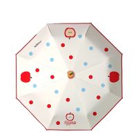 友谊船 全自动雨伞女晴雨伞两用黑胶太阳伞遮阳伞防晒防紫外线 把