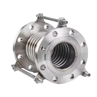兴酉 法兰式波纹补偿器 DN150 个