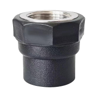 伟鹏双兴 PE内丝直接热熔接头 PE40螺纹1.2寸 个