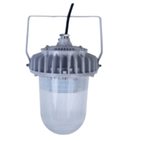 ZHEGUANRONG/浙冠荣免维护led工厂灯 GRD9181-100W 个