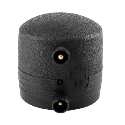 伟鹏双兴 PE电熔管帽堵头 90 个