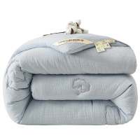 亿洛莱 冬被 150*200cm约8斤 床