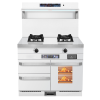 旺厨好太太 900MM新款集成灶 侧吸大吸力变频抽油烟机燃气灶蒸烤消家用烟灶消一体灶套装 自动清洗天然气