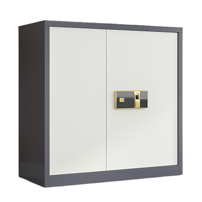 鑫木樽矮柜钥匙+指纹个