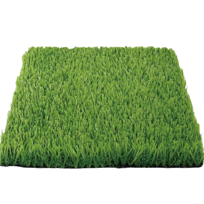 亿洛莱 草坪 100*200*2cm 张