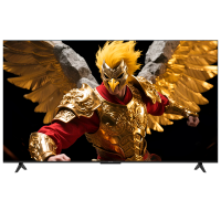 雷鸟鹏6 24款 65英寸电视 家电国家补贴 3+64GB电视机65S375C-JN