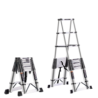 晨磊人字直梯十一步/个