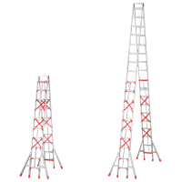 晨磊伸缩人字梯十步/个