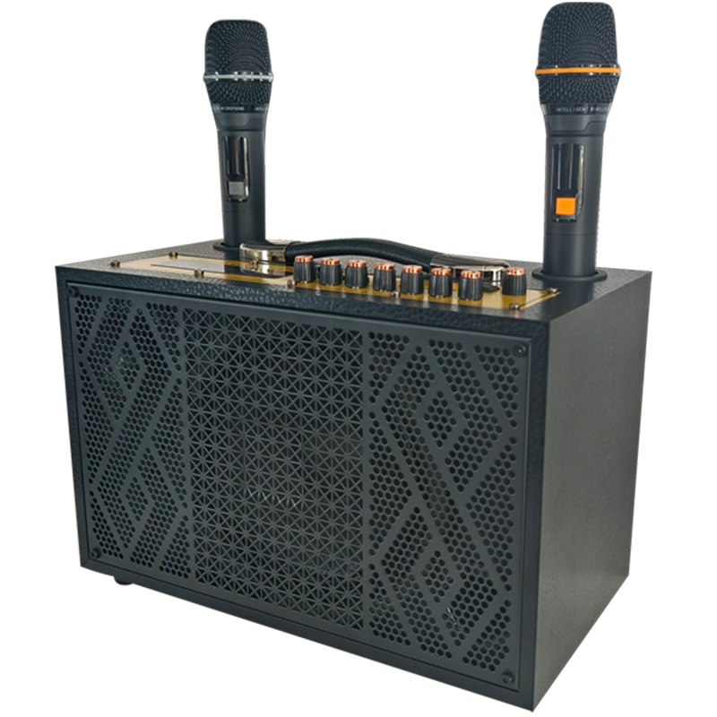 润普Runpu会议扩声手提音箱卡拉OK户外直播带无线话筒便携式会议音箱RP-EX10