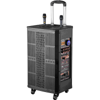 润普Runpu会议扩声拉杆音箱两分频10英寸低音卡拉OK户外直播带手持话筒拉杆音箱RP-EX40