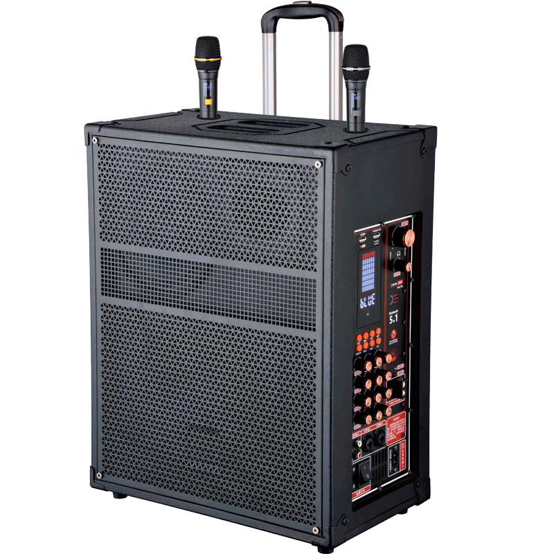 润普Runpu会议音频扩声 三分频12英寸低音卡拉OK户外演出活动野外作训带话筒拉杆音箱RP-S-LGP12F