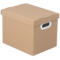 彭梵档案收纳箱