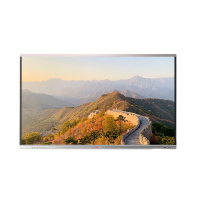 大雅宏达 企业智能会议机一体机75英寸无摄像头款不含移动支架GSG75RPY