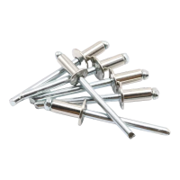 贝策 不锈钢拉铆钉 3*14mm 个