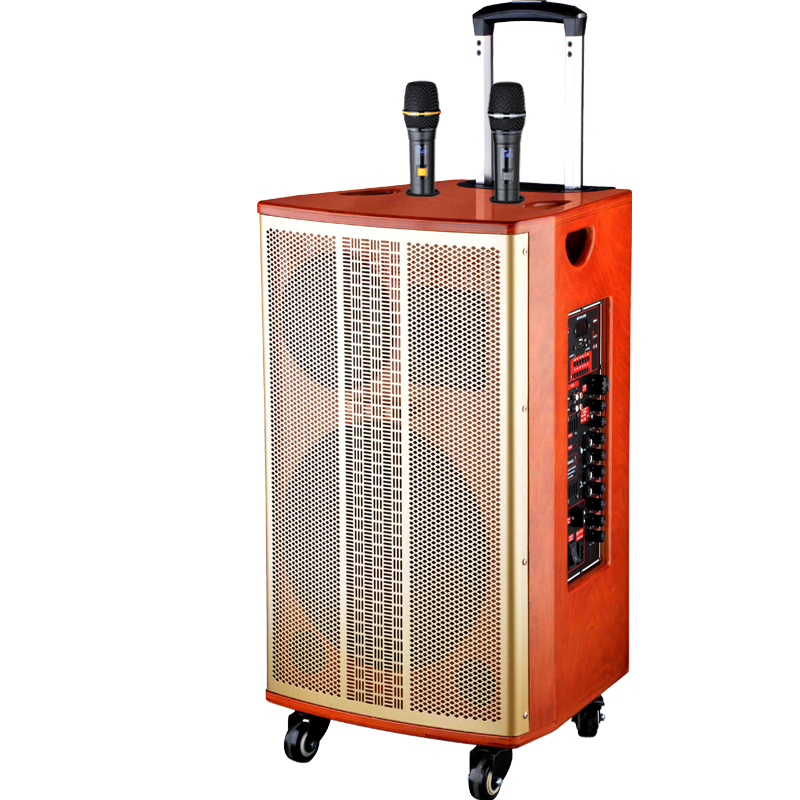 润普Runpu会议音频扩声 三分频15英寸低音卡拉OK户外演出活动野外作训带话筒拉杆音箱RP-S-LGP15F