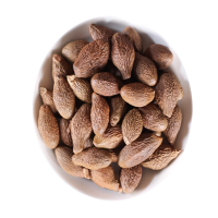 甄选胖大海100克煮泡茶凉茶另售甘草罗汉果金银花菊花9260