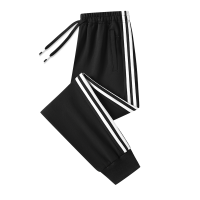 徽润和 运动长裤 FT55 件