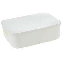 晨磊 收纳盒 8L 个