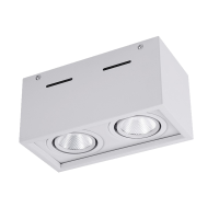 格瑞达 双头明装筒灯 GS7022-20W 个