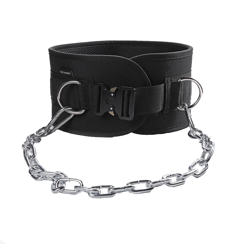 劳拉之星LS0841引体向上负重腰带腰部力量训练加粗铁链双杠