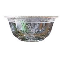 娅秸 一次性碗 硬塑 个