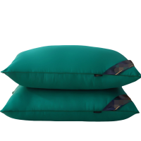 铭思沃绿色枕芯480*740mm个