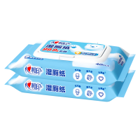 心相印湿厕纸柔厚亲肤温和无刺激40片*2包XCY040+P1(包装随机)