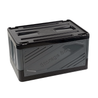 义尊 储物箱 52*35.5*28cm 个