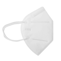 岱润 口罩 KN95 个
