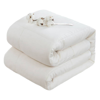 亚博娜 6斤垫絮套装(含垫絮套) DX-12 120*200cm 套